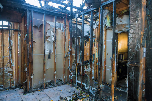 Professional Smoke Damage Removal technician working in Collinsburg, PA